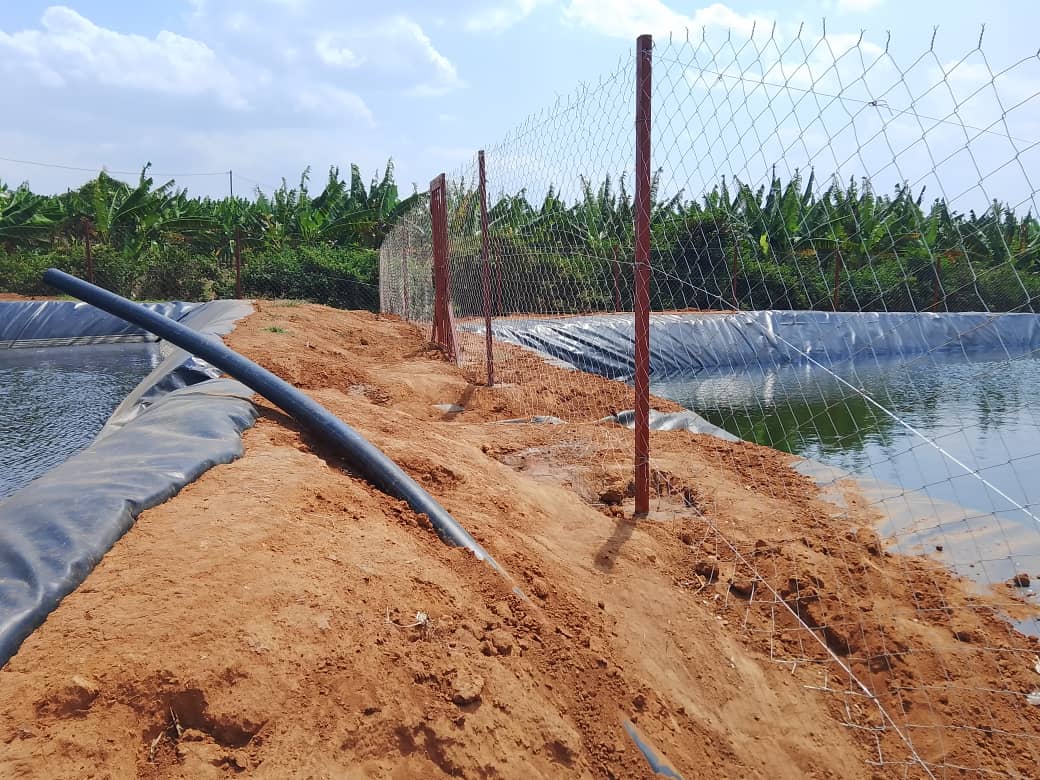 GreenVale Farms — Multi-Crop Operation